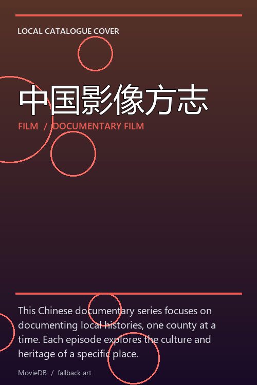 中国影像方志 poster