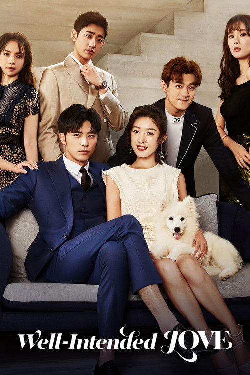 Well-Intended Love 2 poster
