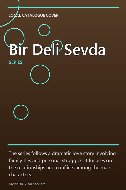 Bir Deli Sevda poster