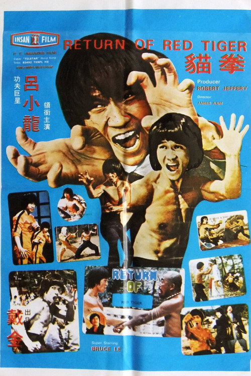 Returned Tiger poster