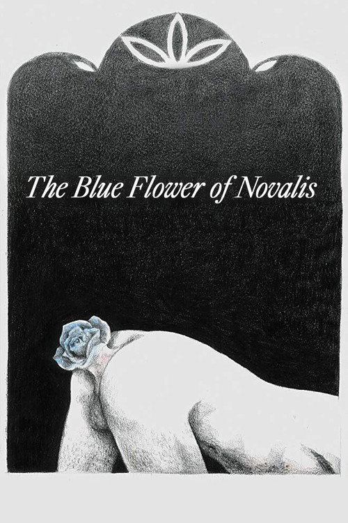 A Rosa Azul de Novalis poster