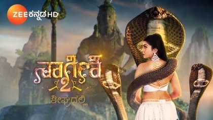 Naagini 2 poster