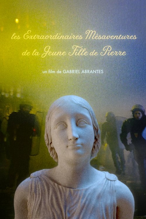 The Marvelous Misadventures of the Stone Lady poster