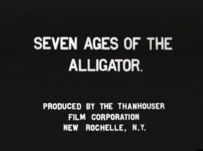 Seven Ages of an Alligator poster
