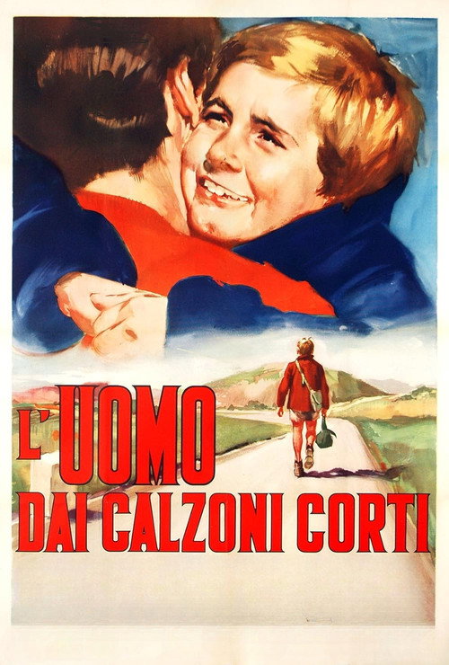 L'amore più bello poster