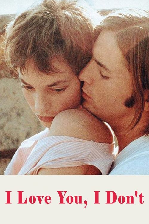 Je t'aime moi non plus poster