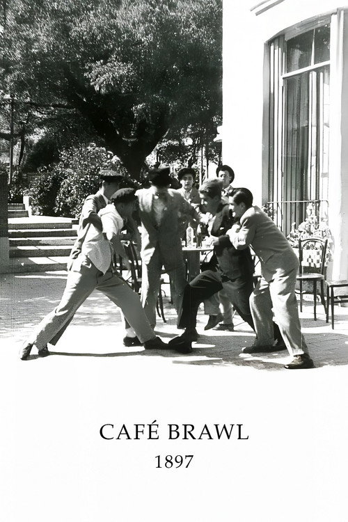 Riña en un café poster