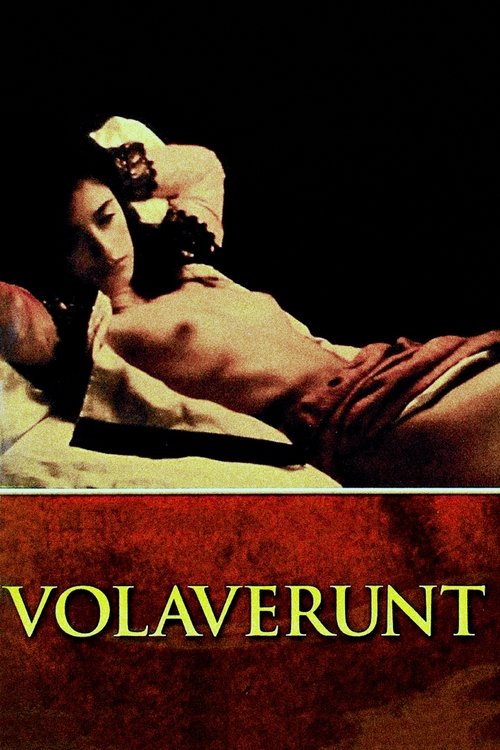 Volavérunt poster