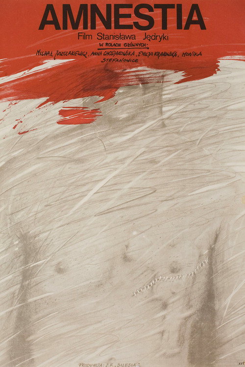 Amnestia poster