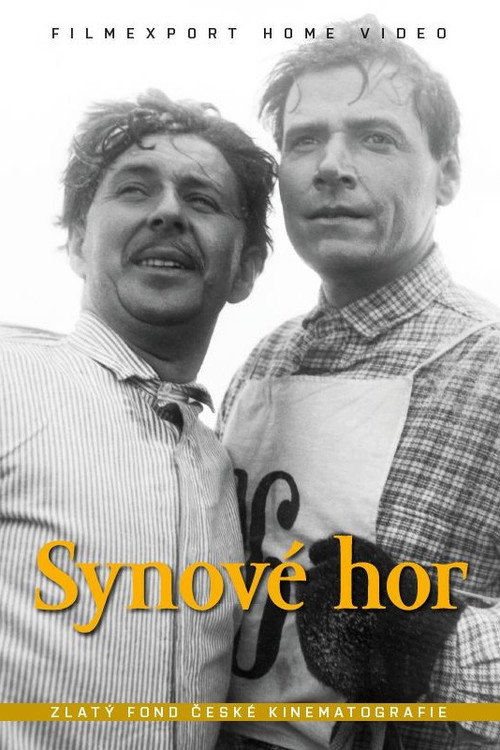 Synove hor poster