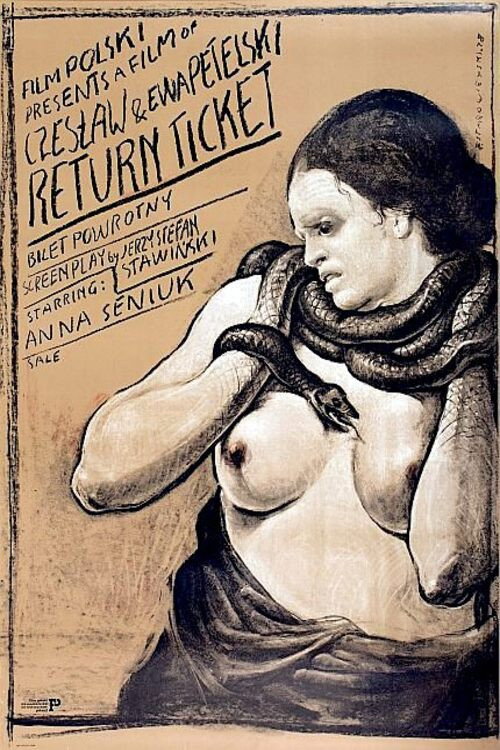 Bilet powrotny poster