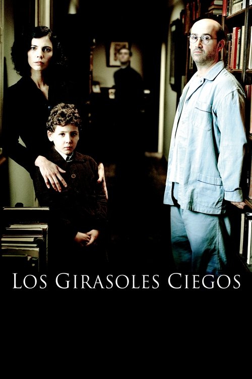 The Blind poster