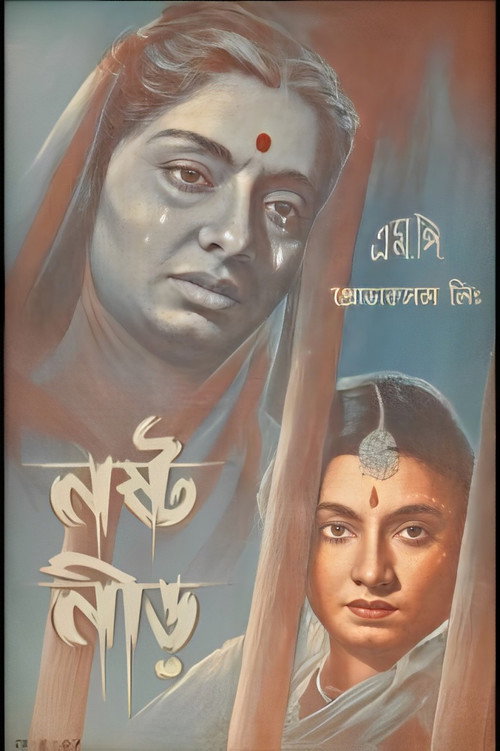 Nastaneer poster