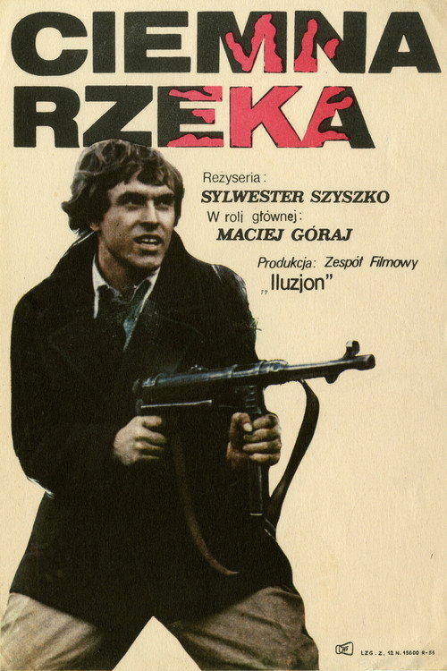 Ciemna rzeka poster