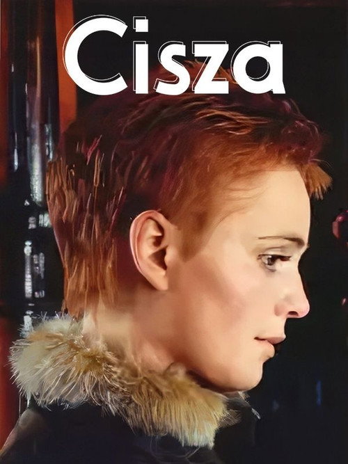 Cisza poster