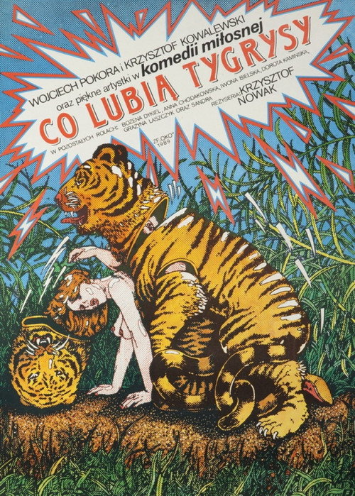 Co lubia tygrysy poster