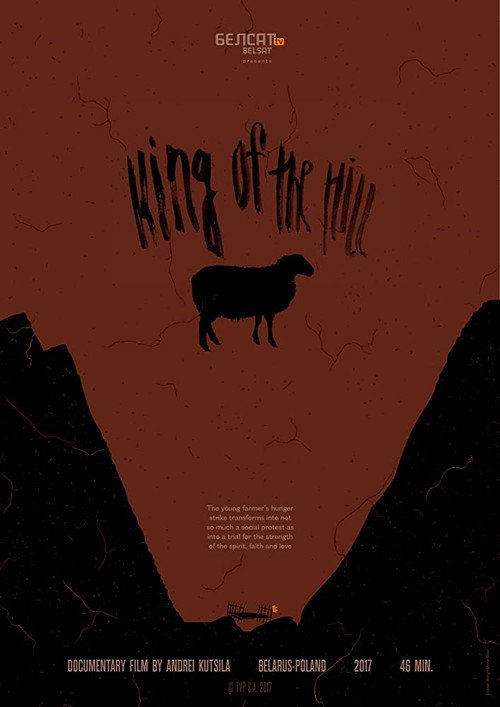King of the hill poster