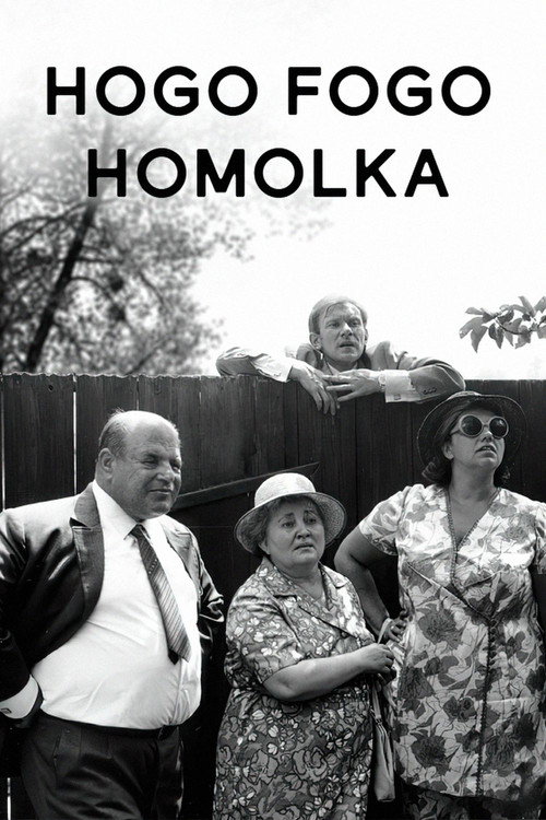 Hogo fogo Homolka poster