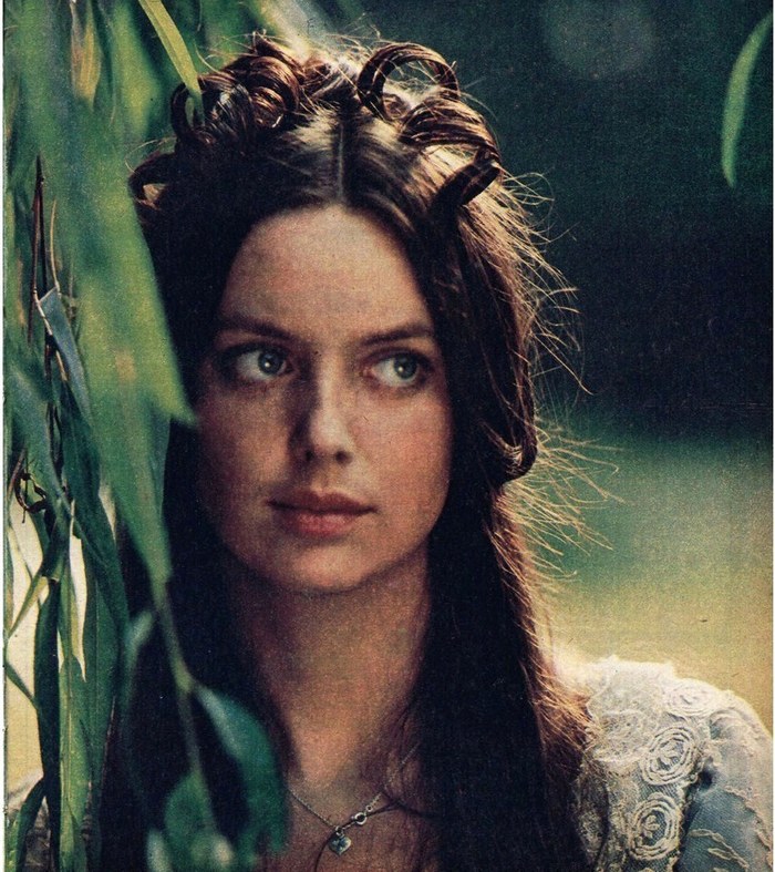 Honor dziecka poster