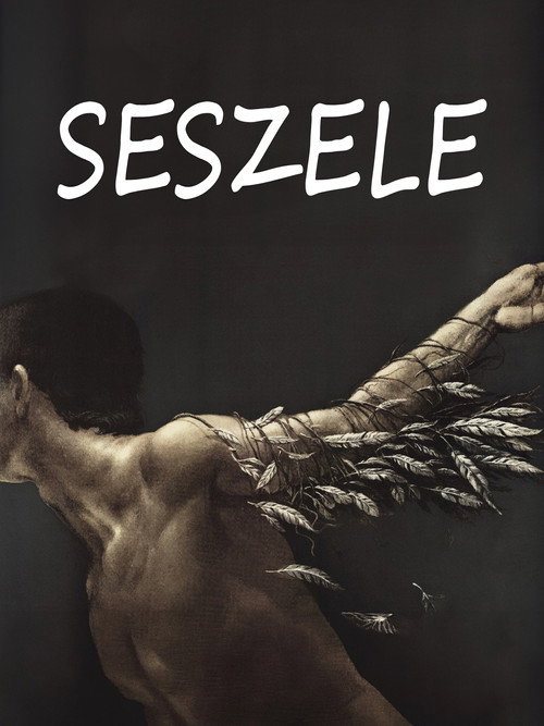 Seszele poster