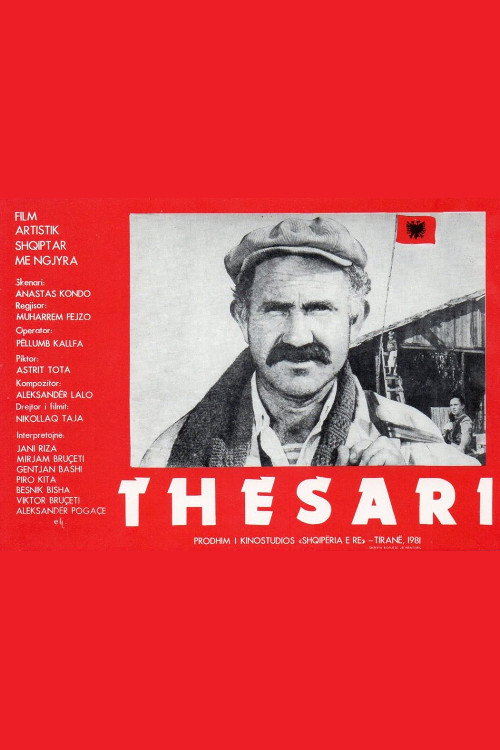The Treasure poster