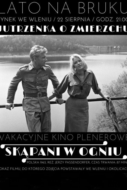 Skapani w ogniu poster