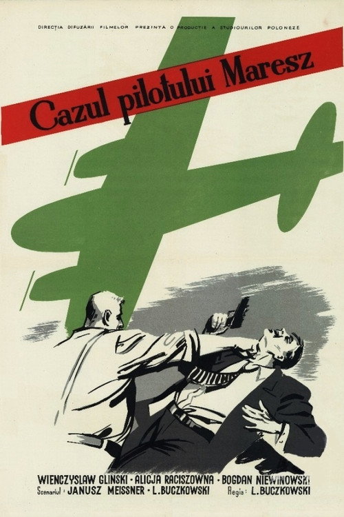 Sprawa pilota Maresza poster