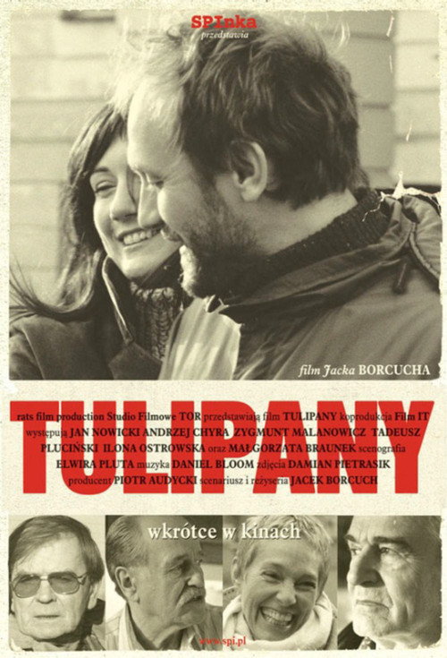 Tulipany poster