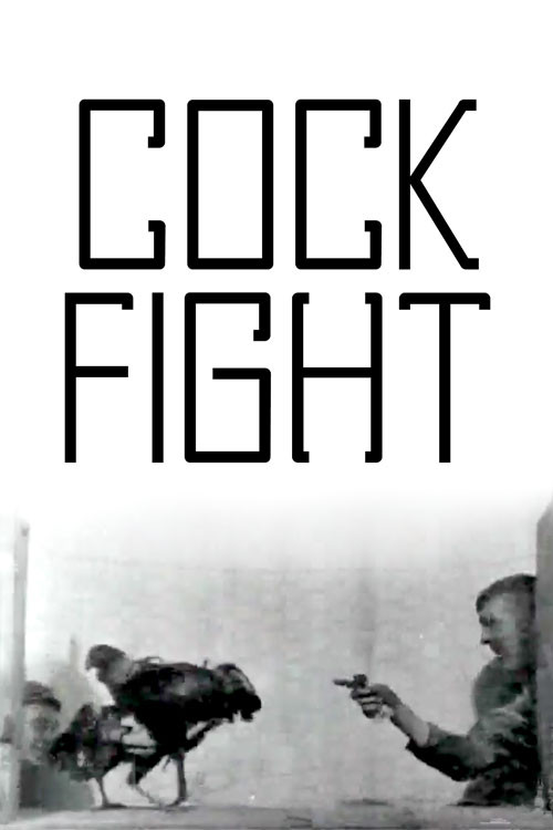 Cock Fight poster