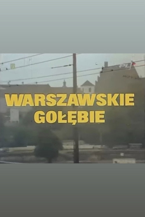 Warszawskie golebie poster