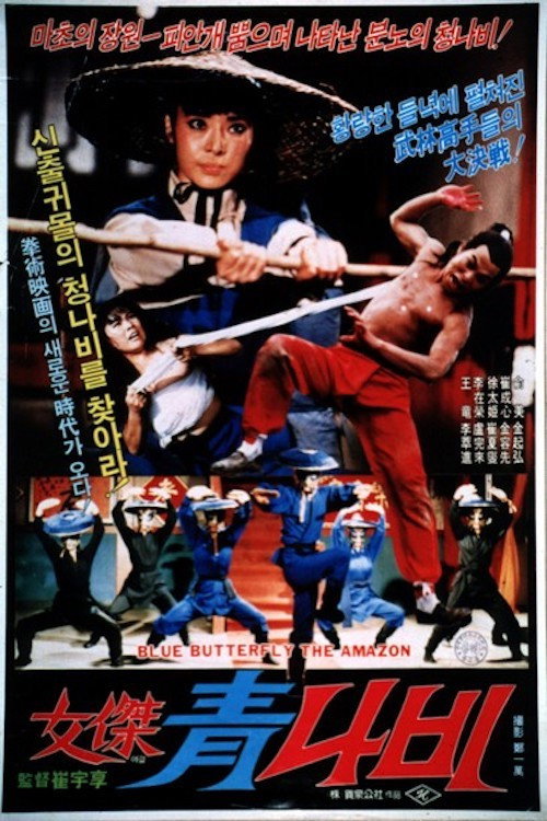 Butterfly Of Ching, A Heroine poster
