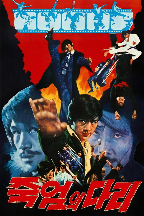 Bridge of Death poster