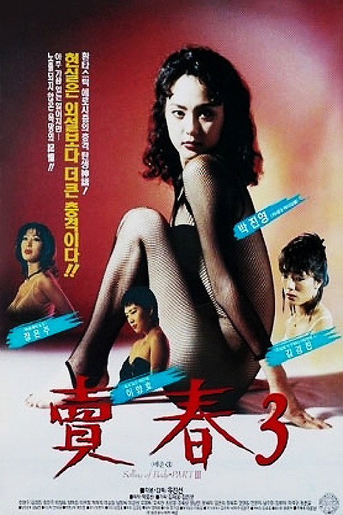Prostitution  3 poster