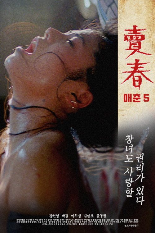 Prostitution  5 poster