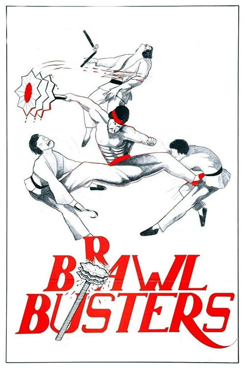 The Dragon from Shaolin poster