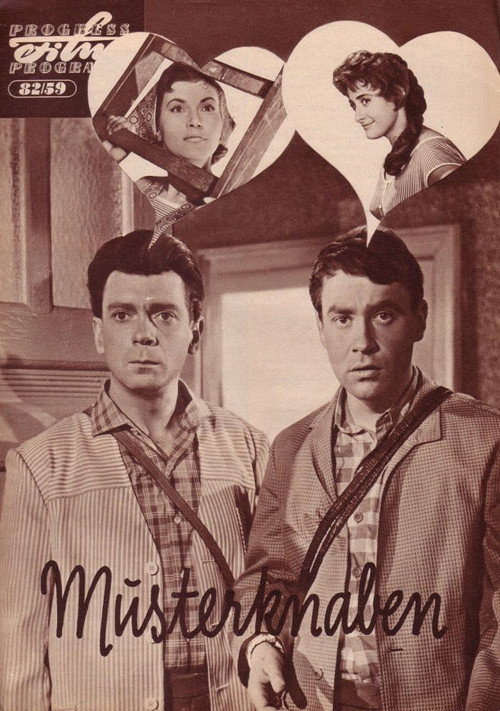 The Goodies poster