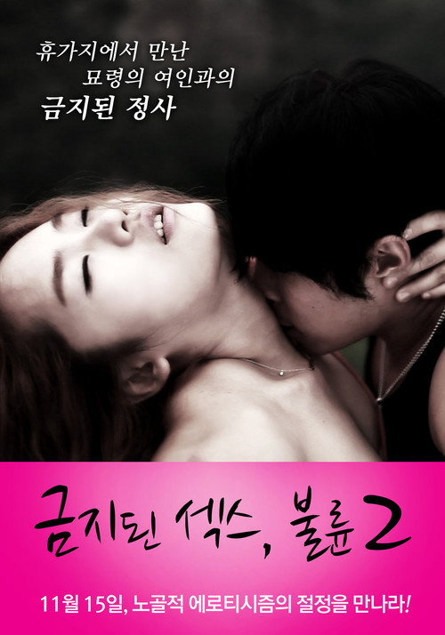 Forbidden Sex : Affair 2 poster