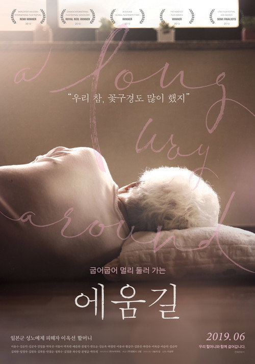 A long way around poster