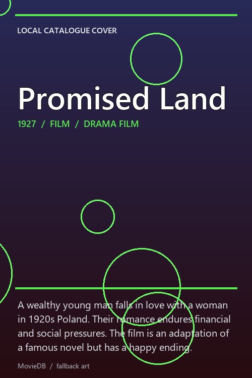 Promised Land poster