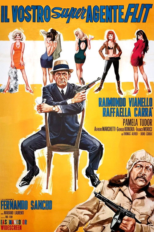 Il vostro super agente Flit poster