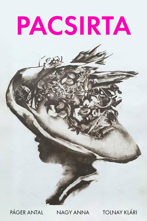 Drama of the Lark poster