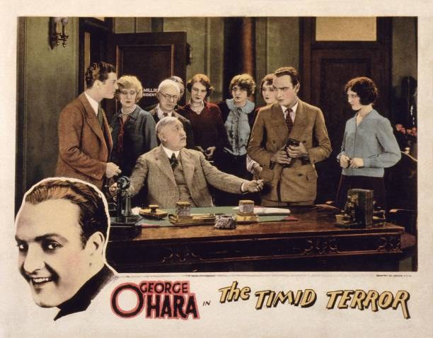 The Timid Terror poster