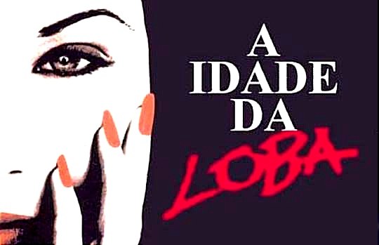 A Idade da Loba poster