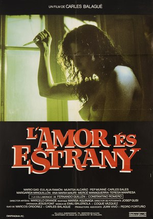 L'amor és estrany poster