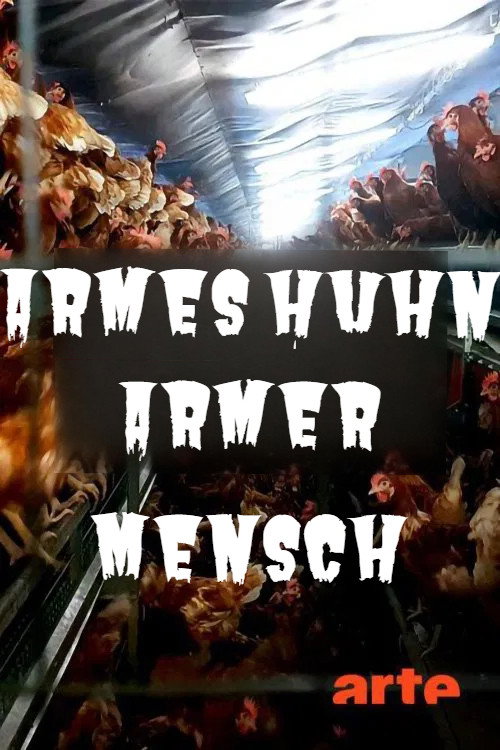 Armes Huhn - armer Mensch: Vom Frühstücksei zur Wirtschaftsflucht poster