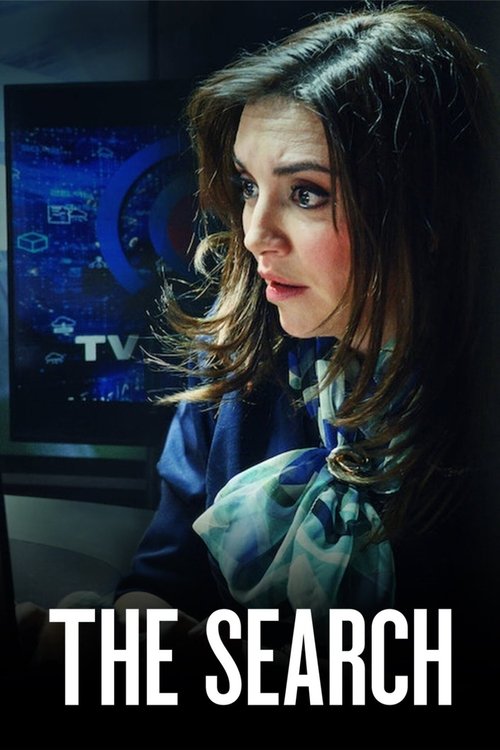Crime Diaries: The Search poster