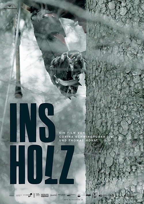 In The Woods poster