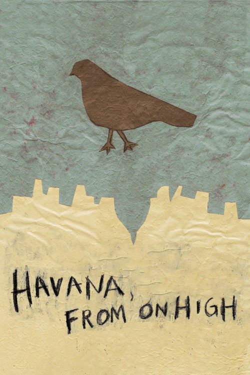 Havana, from on High poster