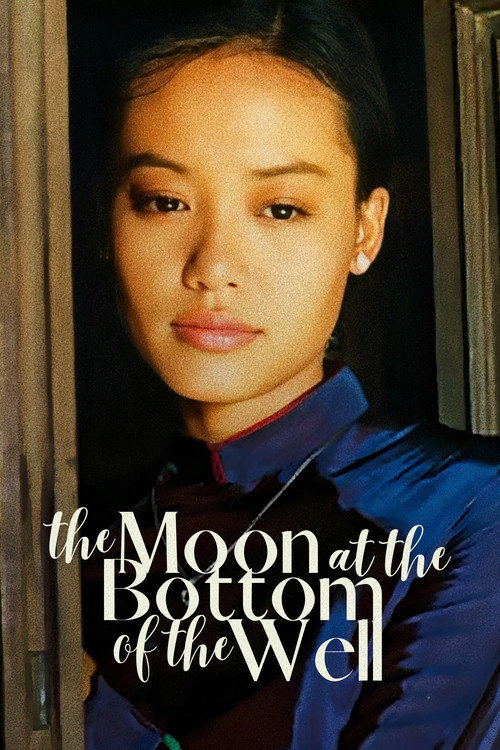 The moon at the bottom of the well poster