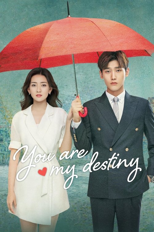 You are my destiny poster